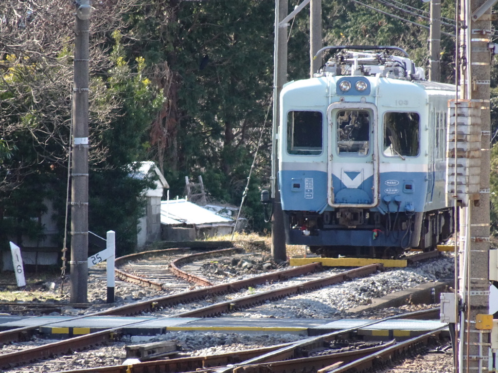 伊豆高原駅付近に留置されていた伊豆急100系(2020/2/11)