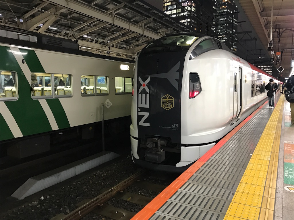 東京駅8番線に到着したE259系マリンエクスプレス踊り子76号(2020/3/2)