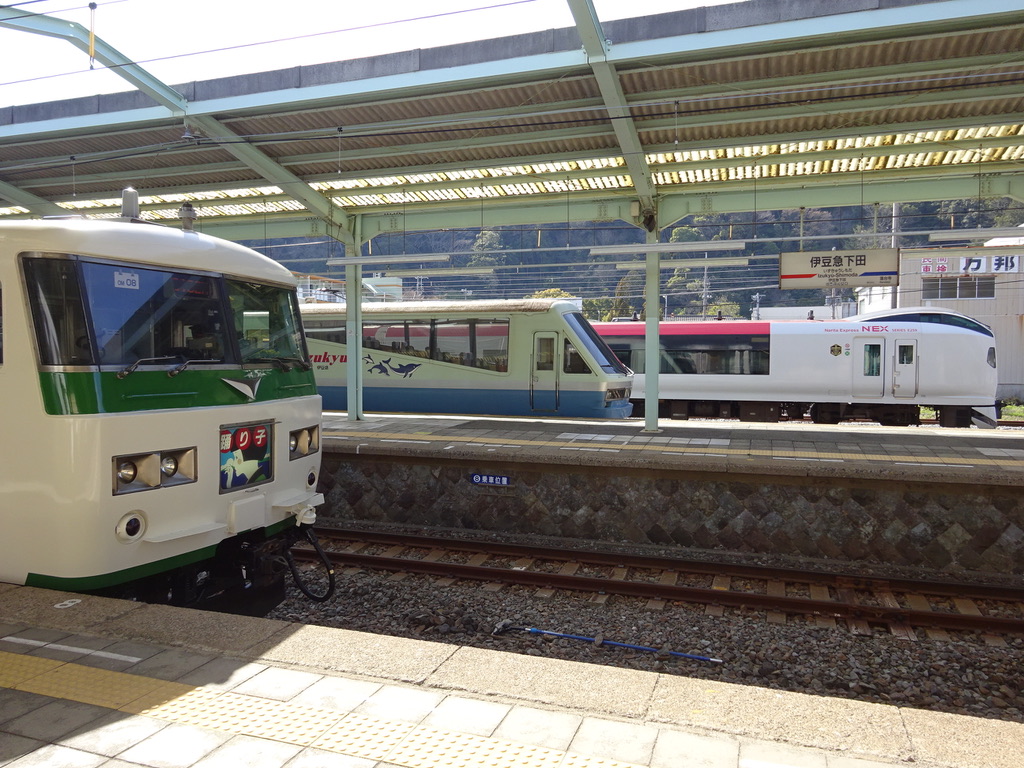 伊豆急下田駅で様々な車種と並ぶ185系〜この1年間はサフィール踊り子号