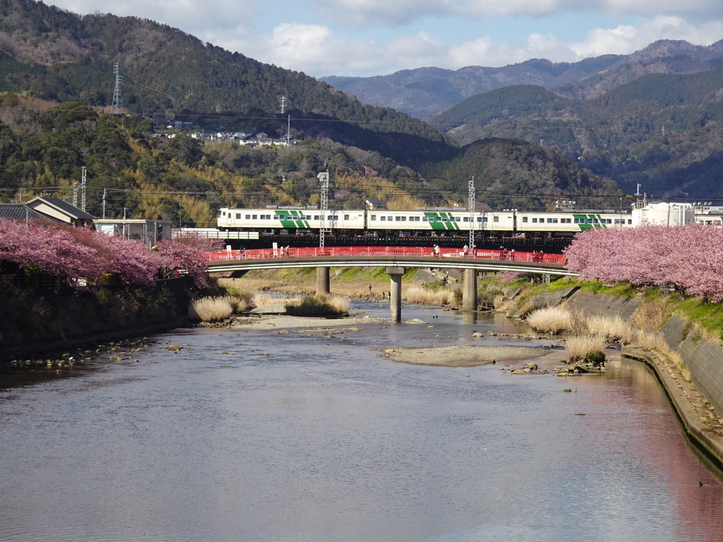 年2月 伊豆に河津桜を見にいった話 その3 河津川を渡る列車たち ちょび鉄ブログ
