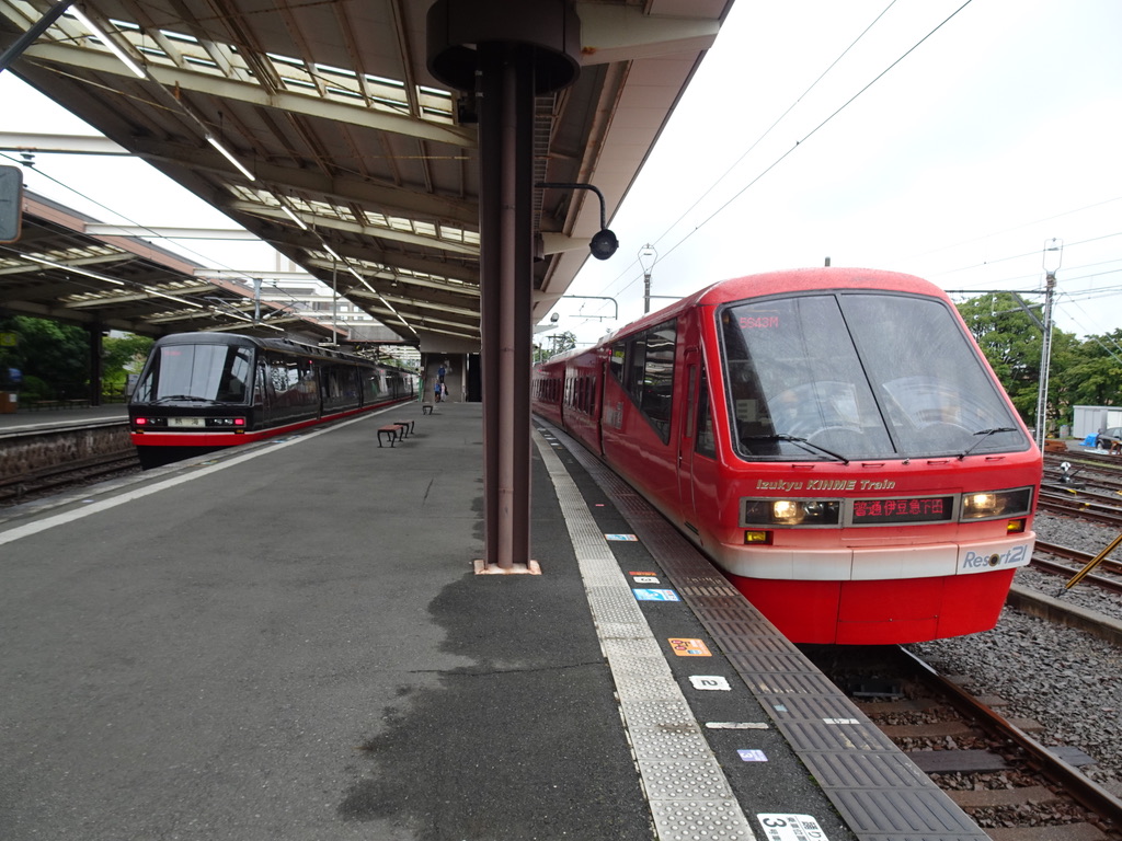 2020夏臨】季節臨ながら平日にも運転！踊り子53・54号【53号平日東京7