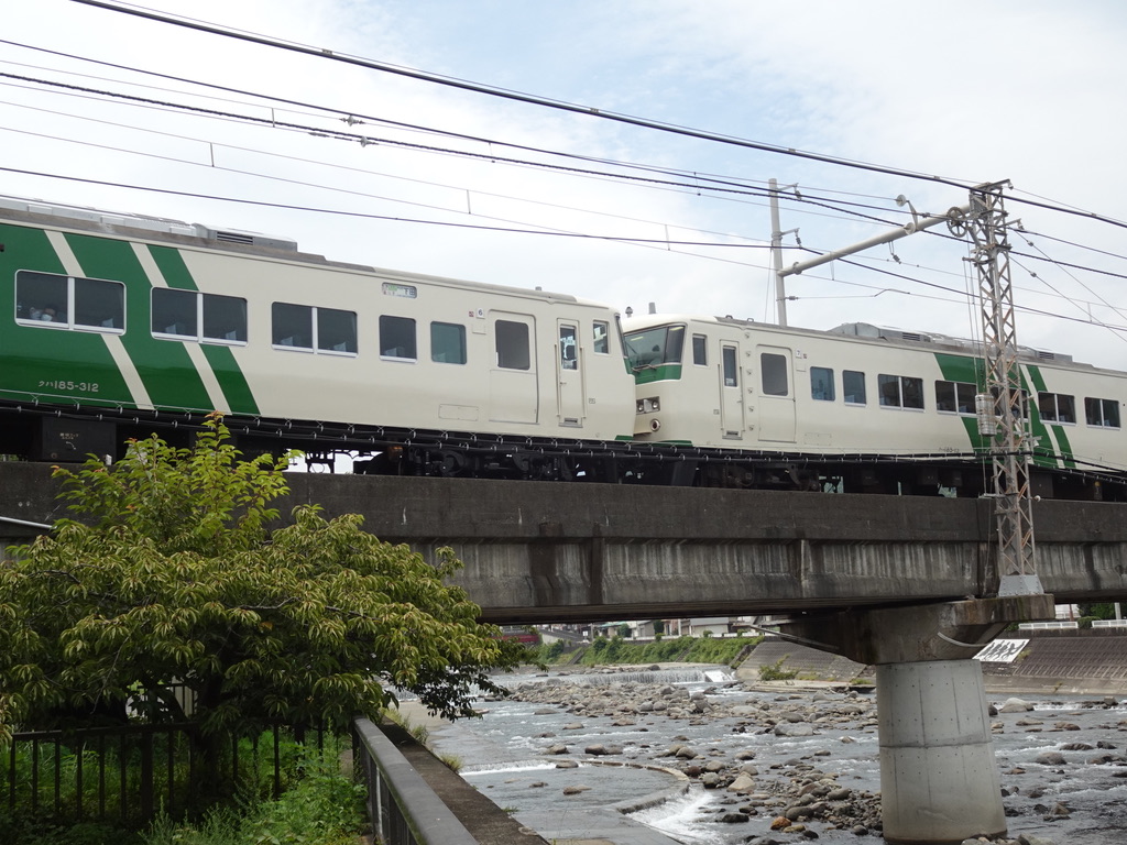 2020夏臨】185系6連+4連の全車指定席！踊り子55・56号【7/23-26運転