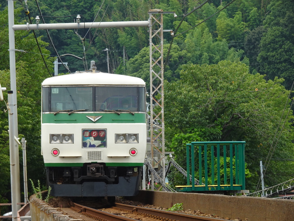 運転停車した片瀬白田駅を出発する185系踊り子54号東京行き(2020/7/24)