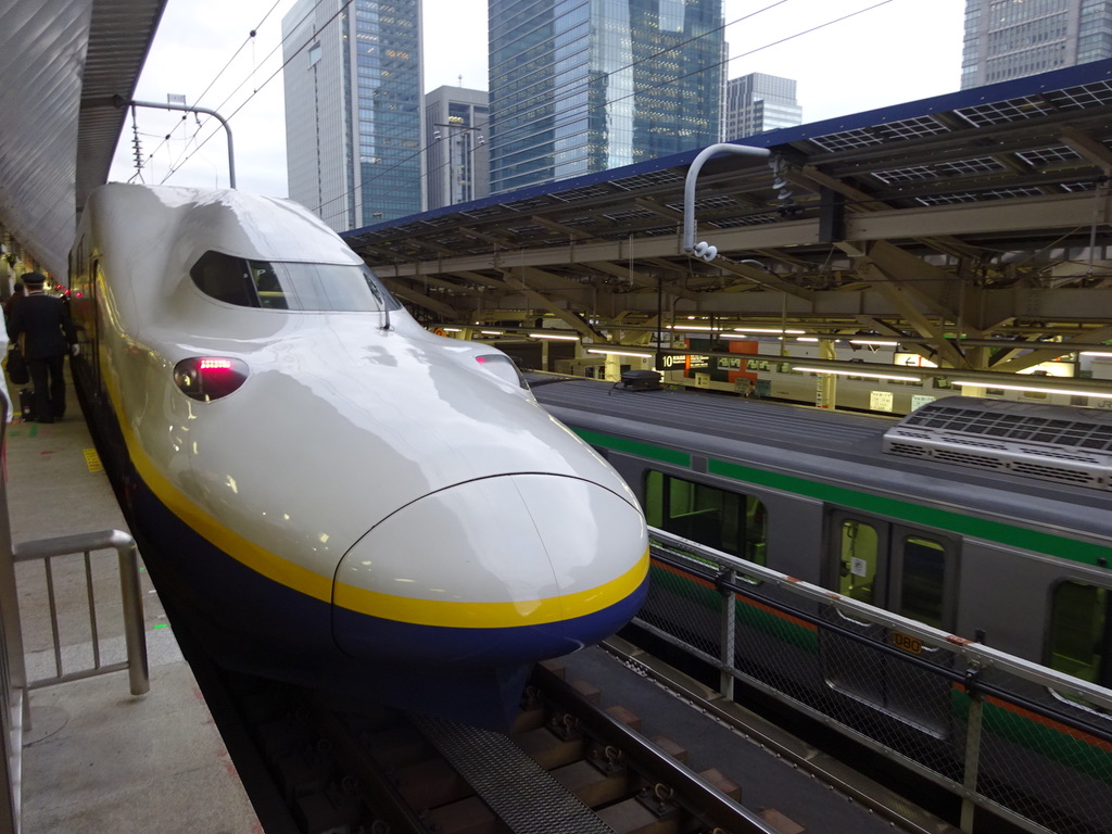 東京駅20番線に到着したE4系Maxとき364号(2014/12/29)