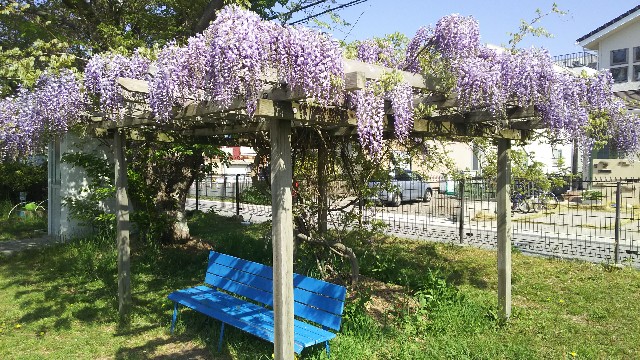 f:id:tyodag:20180410101000j:image f:id:tyodag:20180410101000j:image