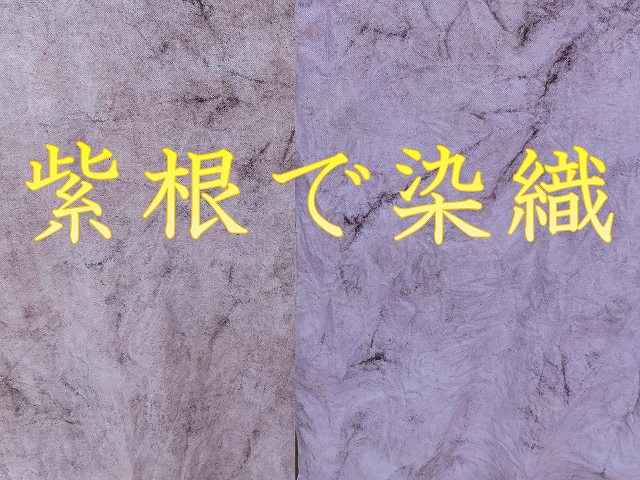 f:id:tyokoripi:20200809210521j:plain