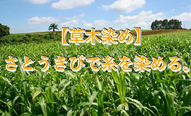 植物染め サトウキビ ウージ 染めのやり方 あちょのハンドメイド日和 植物染め サトウキビ ウージ 染めのやり方 あちょのハンドメイド日和