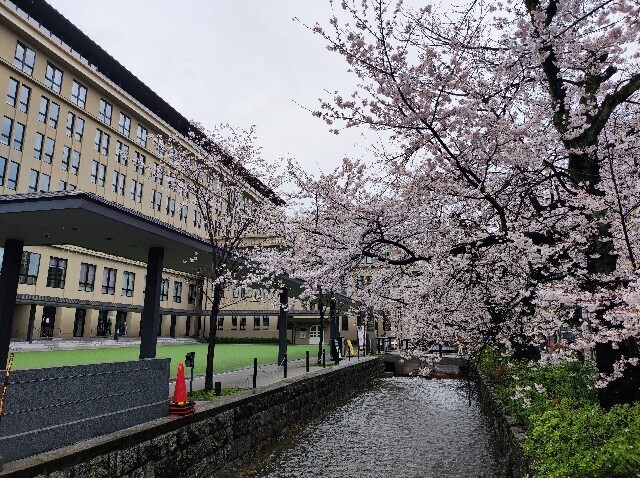 f:id:tyoro1210:20230328233924j:image f:id:tyoro1210:20230328233924j:image