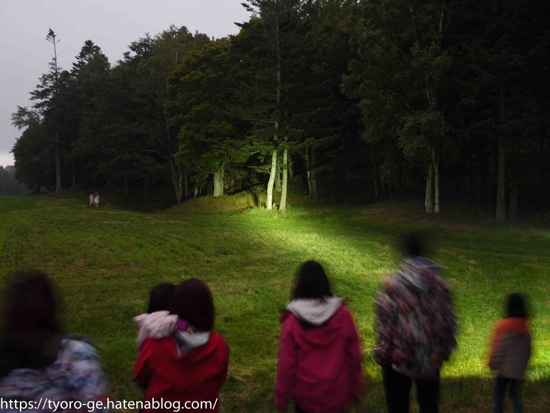 f:id:tyoro_ge:20190929232330j:plain f:id:tyoro_ge:20190929232330j:plain
