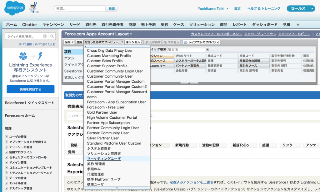 Sfdc ページレイアウトのプレビューモード Tyoshikawa1106のブログ