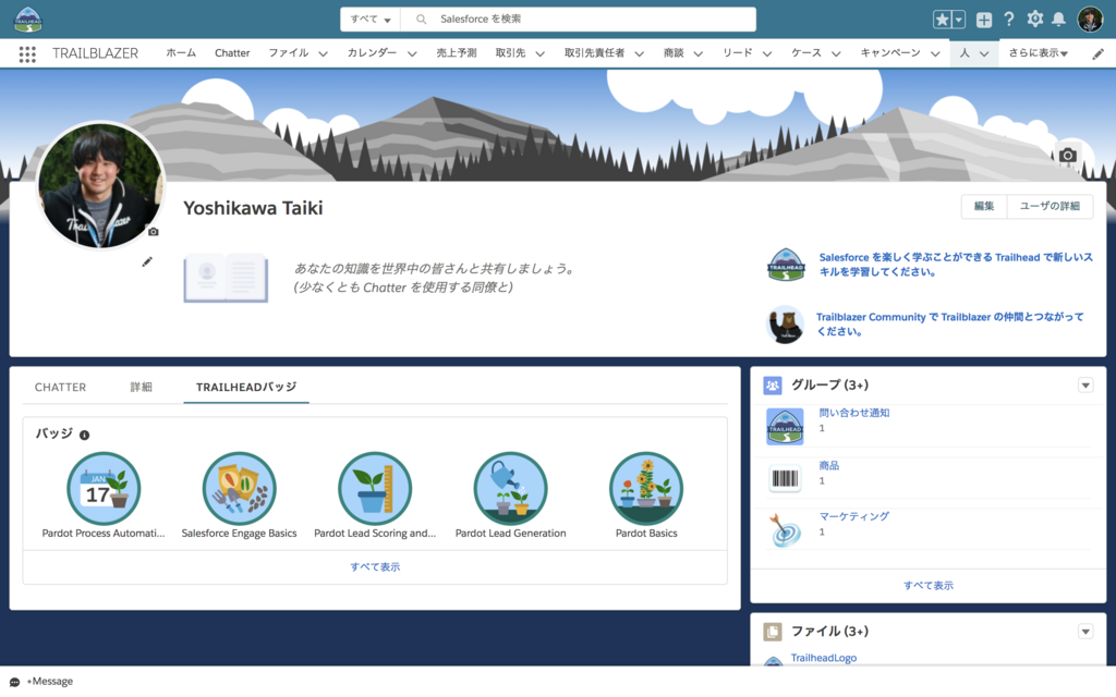 SFDC：Summer'18 - Trailheadのプロフィール表示を試してみまし