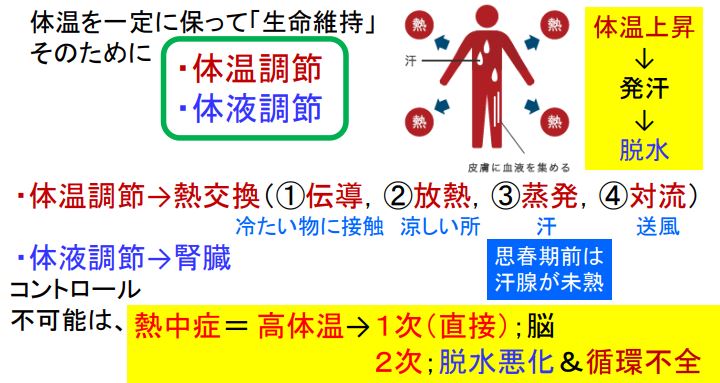 f:id:tyoshiki:20180721101528j:plain