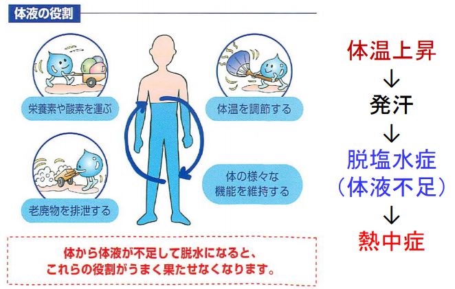 f:id:tyoshiki:20180721101758j:plain