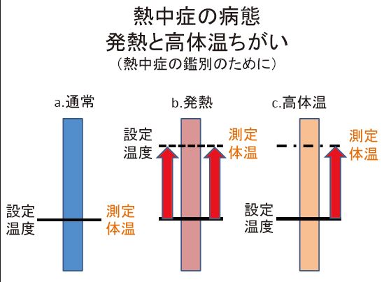 f:id:tyoshiki:20180721102839j:plain