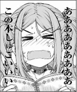 f:id:tyoshiki:20181231195716j:plain
