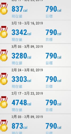 f:id:tyoshiki:20190530205411j:plain