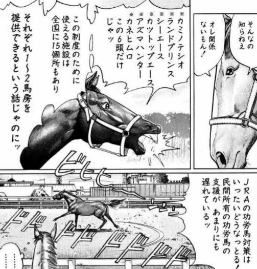 ナイスネイチャ号の蹄鉄 優駿たちの蹄跡」(5/15) ナイスネイチャ、ツインターボ……って