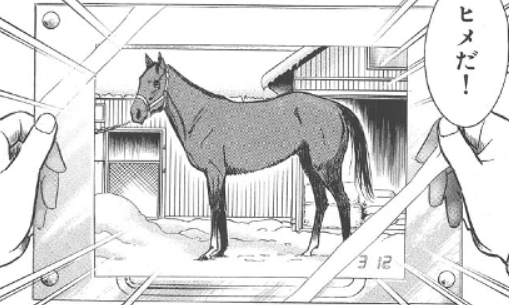 じゃじゃ馬グルーミンup たづな