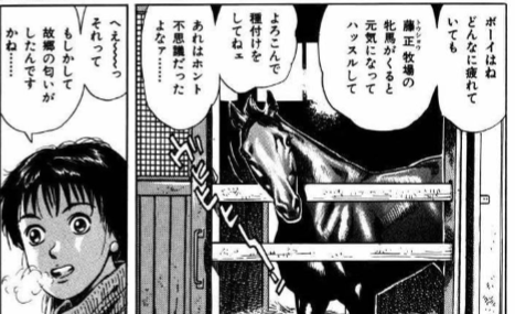 竜蹄の門　対決！横浜居留地ダービー　やまさき拓味 優駿たちの蹄跡 集英社版 13／やまさき拓味 | 集英社 ― SHUEISHA ―