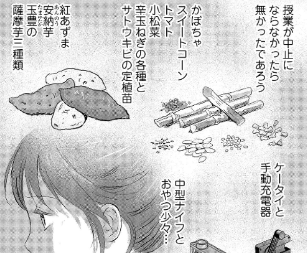 戦国小町苦労譚1 農耕 歴女 主人公もすごいが 金蔵 が優秀すぎる なろうマンガ ｂ級マンガなどの感想