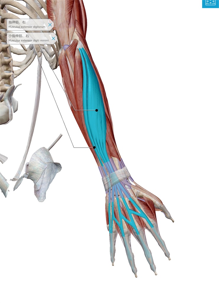 f:id:tyotto_time:20220426105650j:image