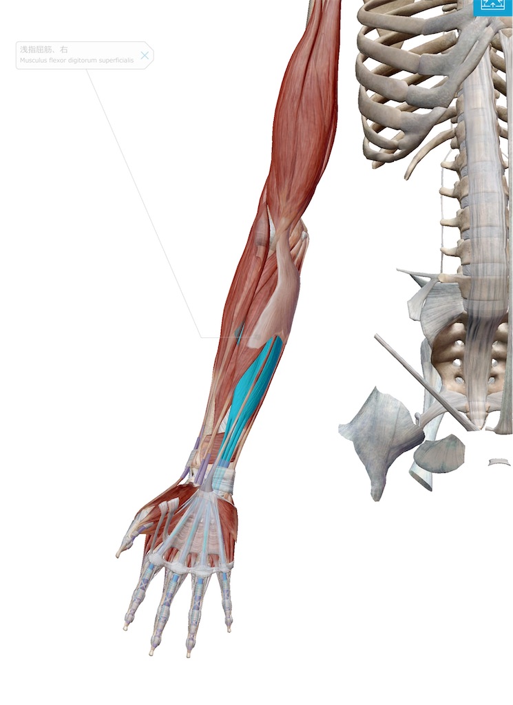 f:id:tyotto_time:20220426105658j:image