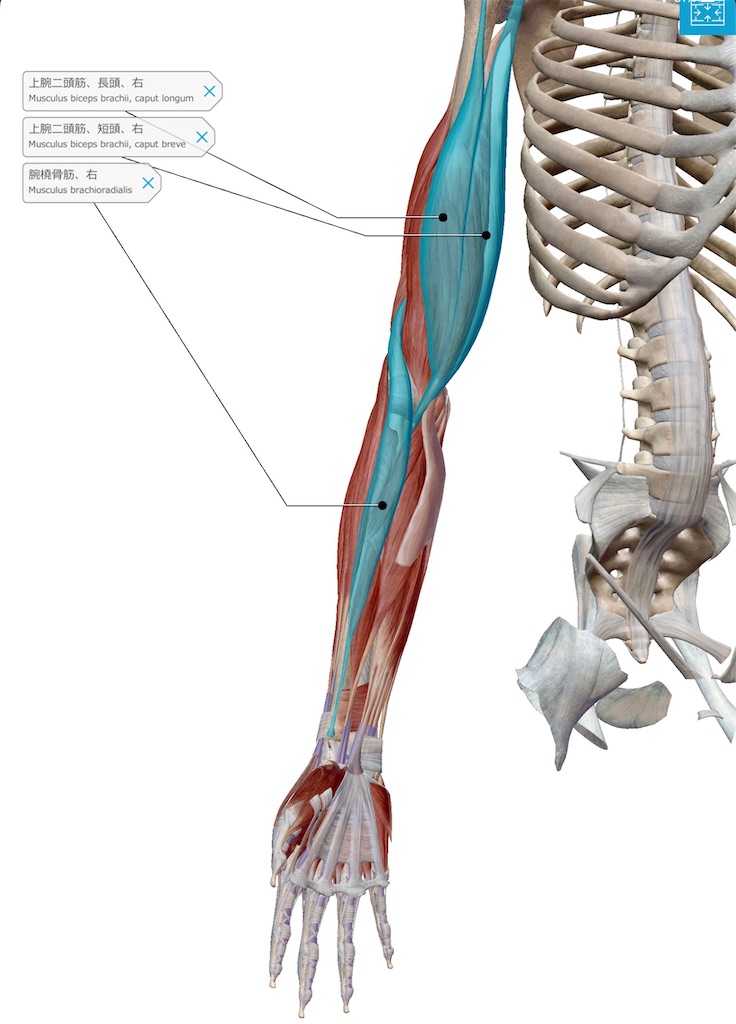 f:id:tyotto_time:20220426105705j:image