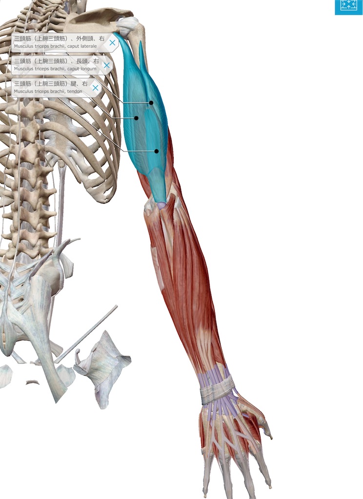 f:id:tyotto_time:20220426105711j:image