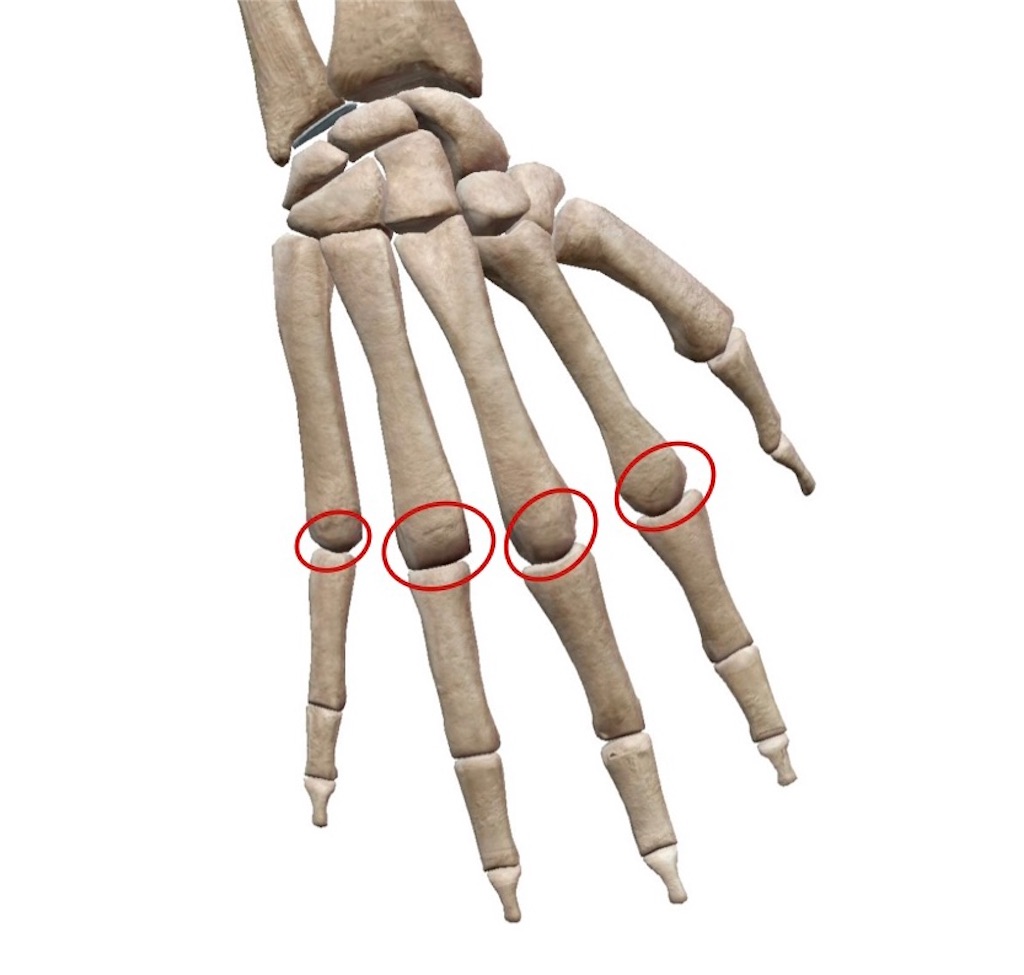 f:id:tyotto_time:20220426113459j:image