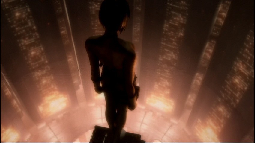 GHOST IN THE SHELL 攻殻機動隊2.0