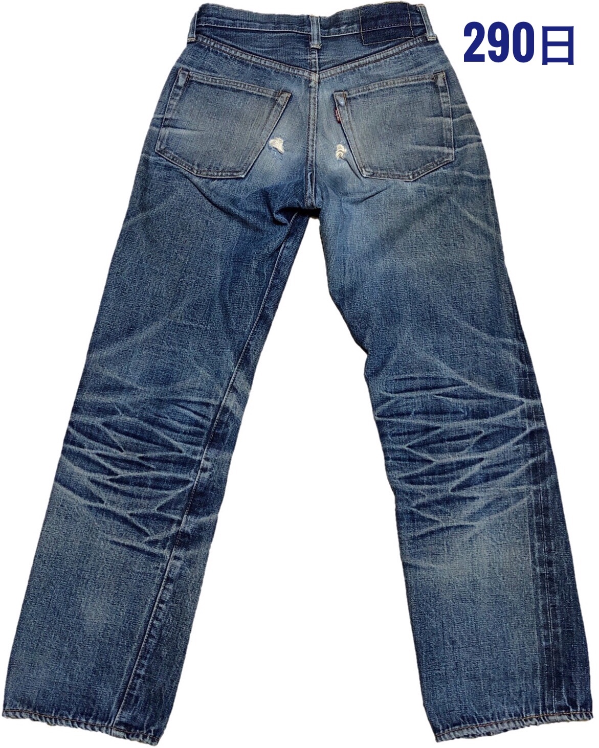 DENIME ドゥニーム Aタイプ 295日(完) - FADED BLUE