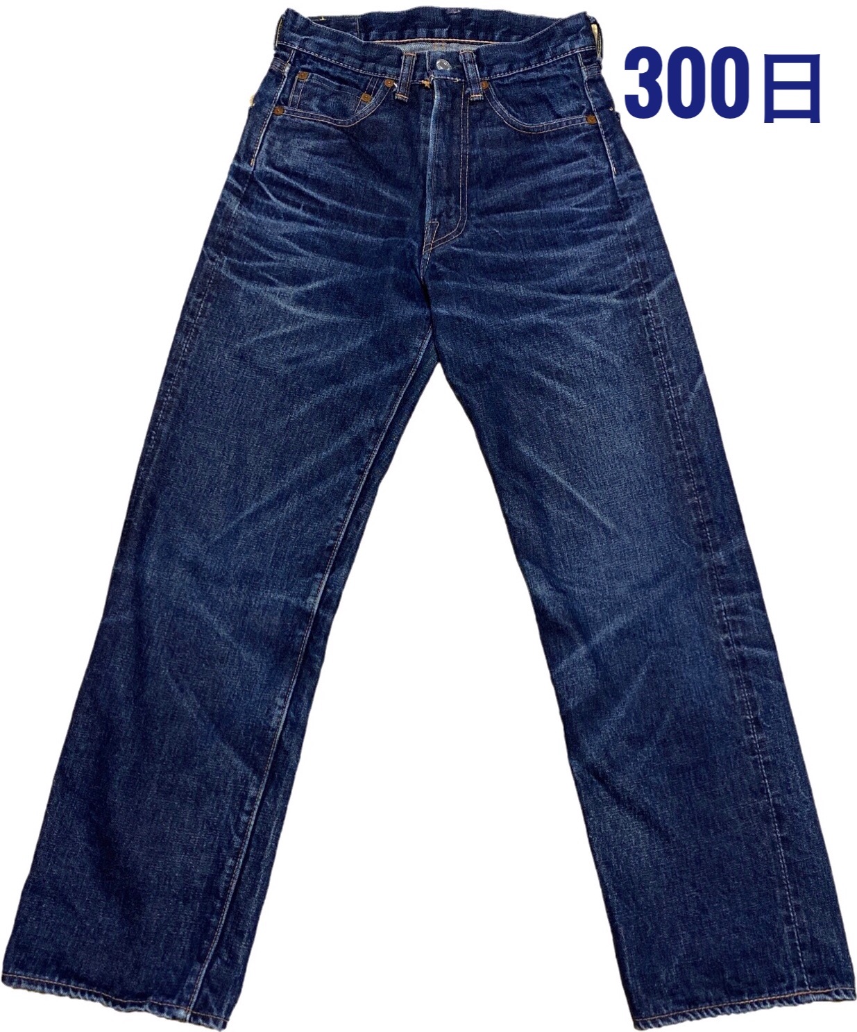 DENIME ドゥニーム 504ZXX 300日 - FADED BLUE