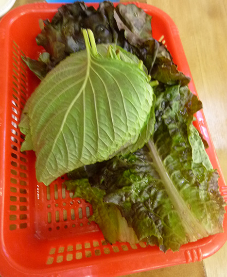 f:id:type1diabetes:20190620111821j:plain f:id:type1diabetes:20190620111821j:plain