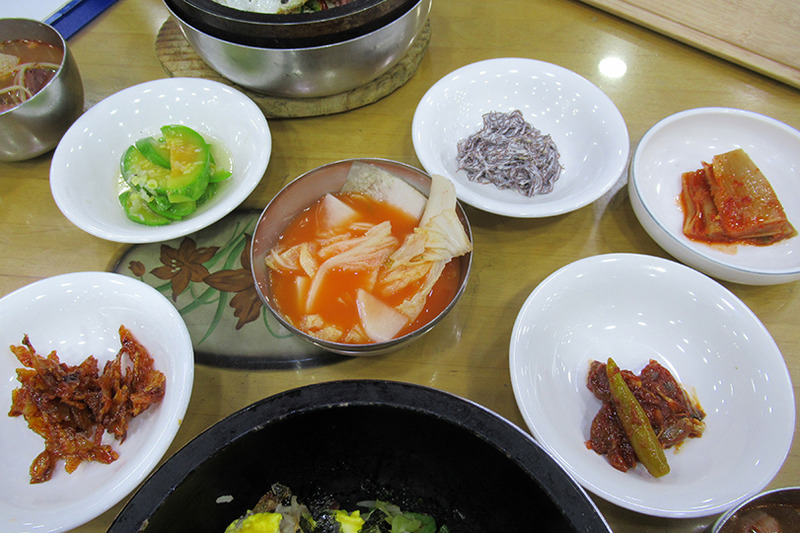 f:id:type1diabetes:20190623173414j:plain