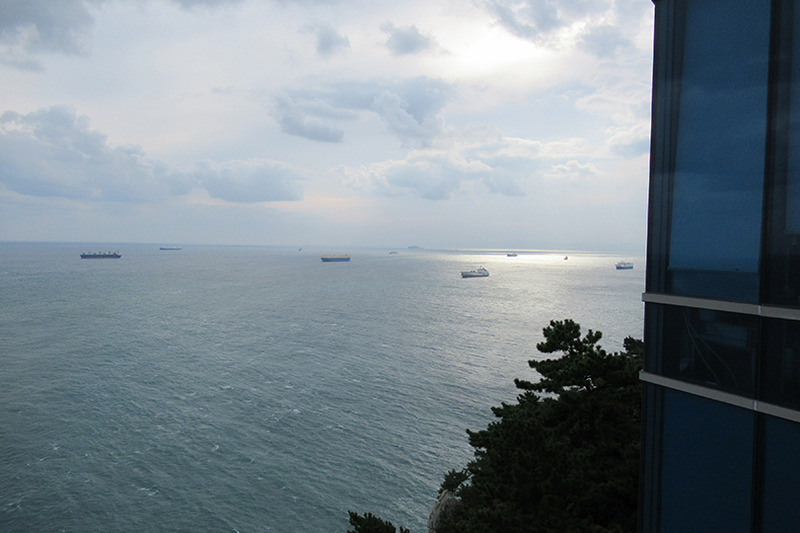 f:id:type1diabetes:20190701160851j:plain