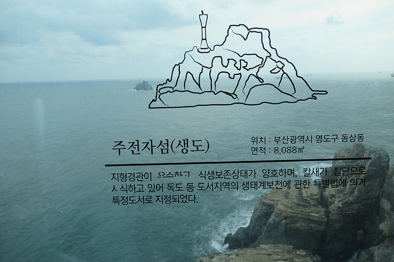 f:id:type1diabetes:20190701160913j:plain