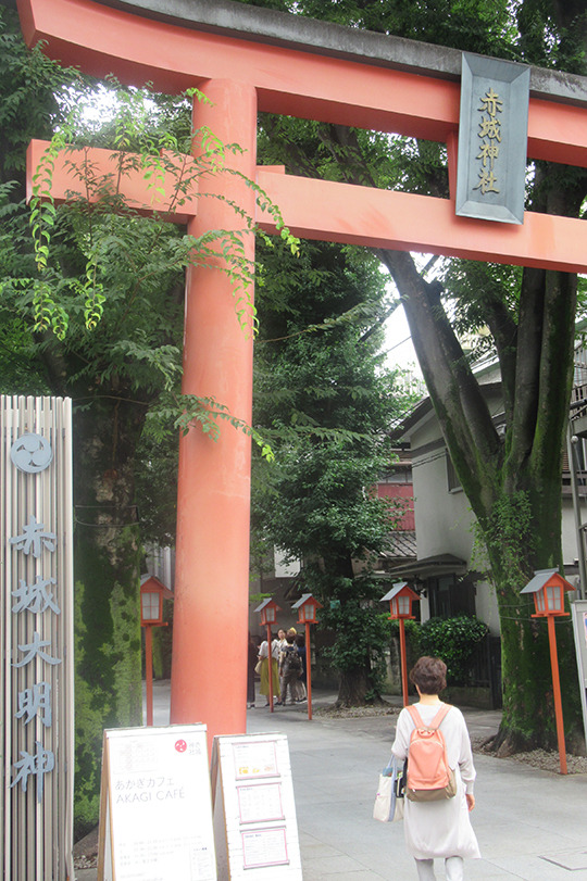 f:id:type1diabetes:20190718154652j:plain