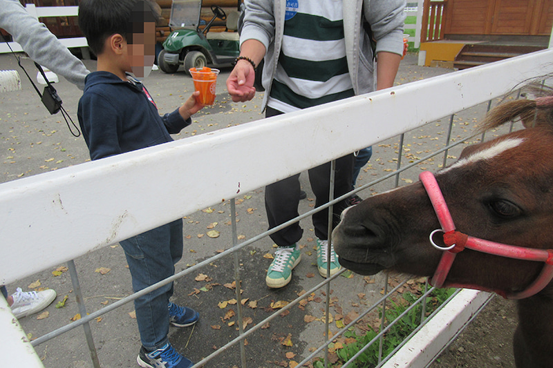 f:id:type1diabetes:20190903155701j:plain