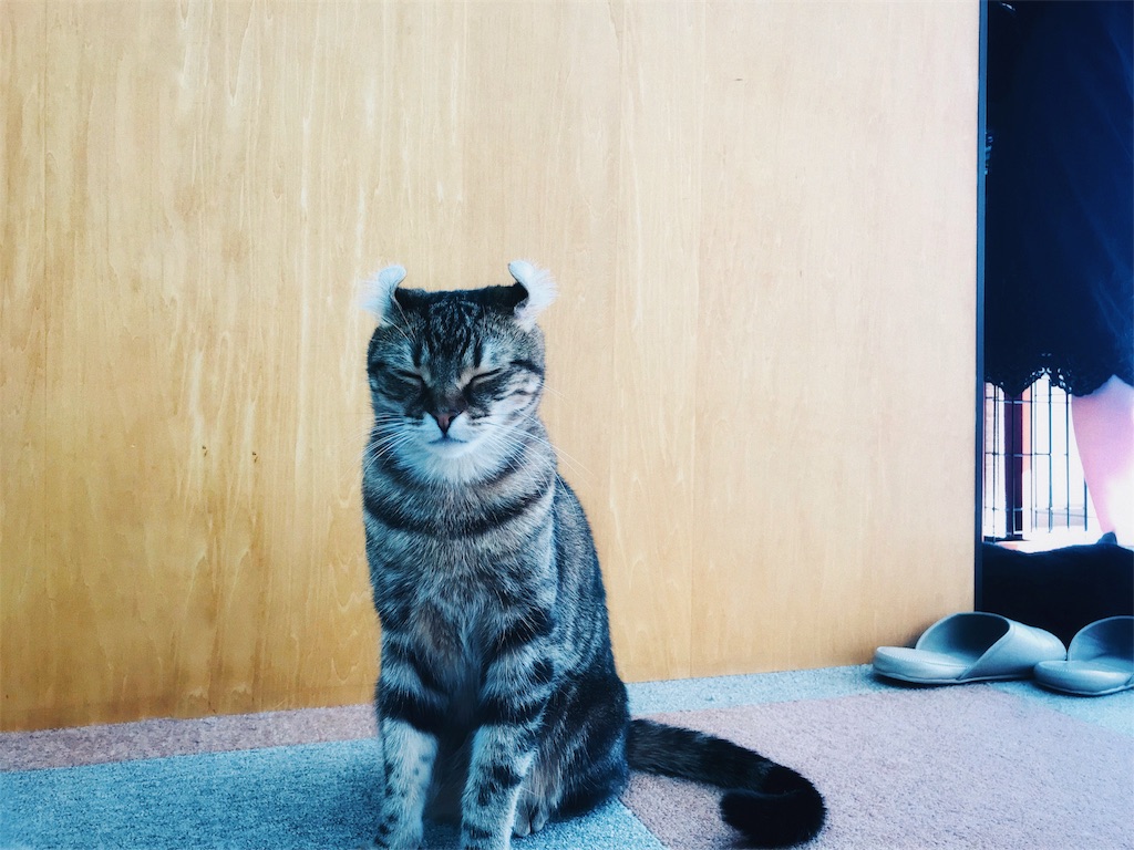 f:id:type_bep:20180411173924j:image f:id:type_bep:20180411173924j:image