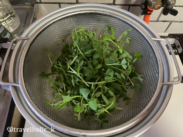 f:id:typekk:20210213034052j:plain