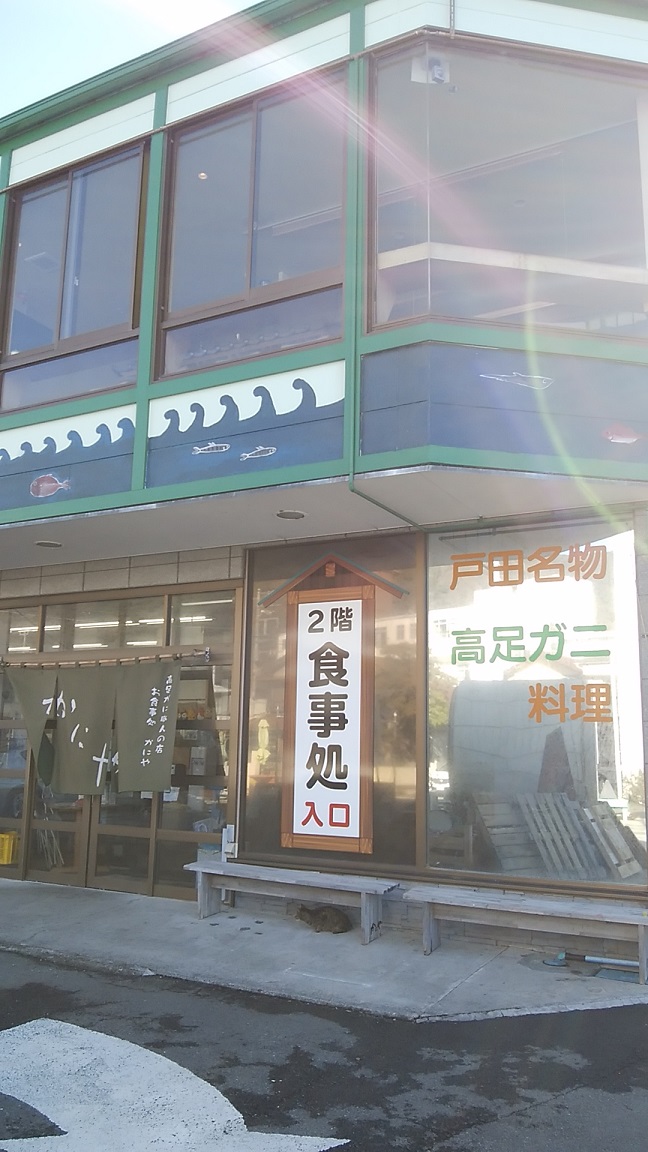 f:id:typology-mew:20220124202515j:plain