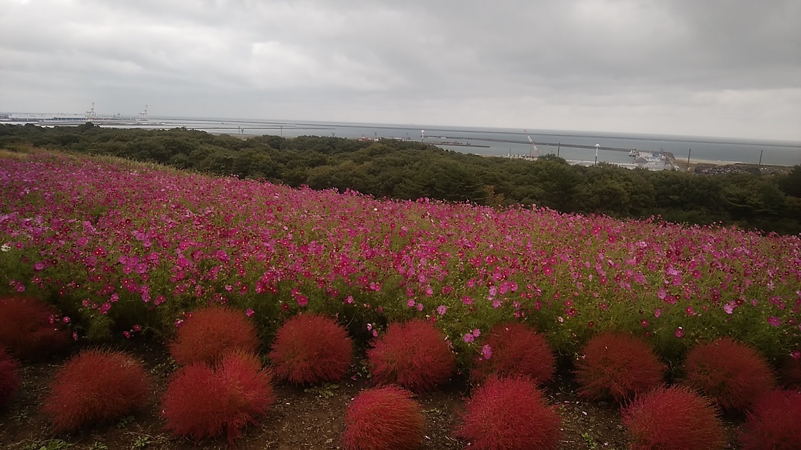 f:id:typology-mew:20220130093048j:plain