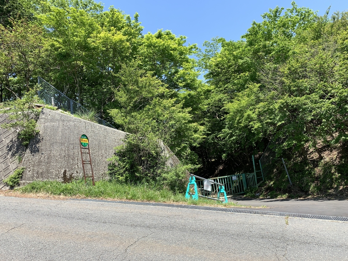 f:id:tyr777:20190525111007j:plain