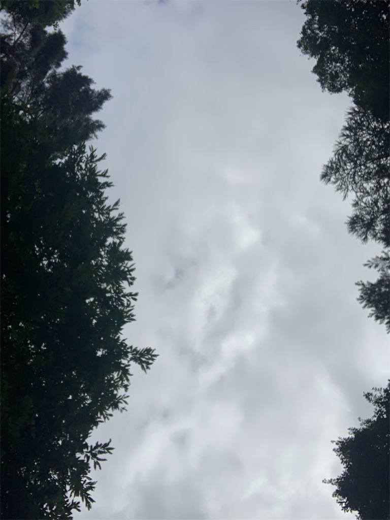 f:id:tyr777:20190903204952j:image