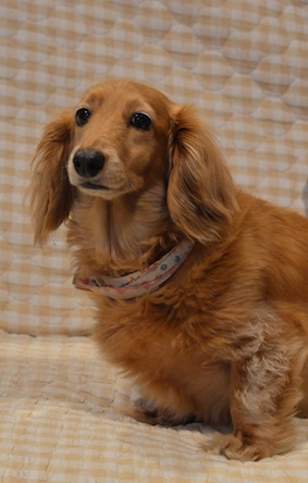 f:id:tysat1103:20170521214307j:plain f:id:tysat1103:20170521214307j:plain