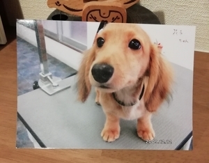 f:id:tysat1103:20190206145434j:plain f:id:tysat1103:20190206145434j:plain