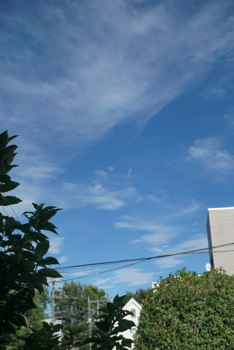 f:id:tyuito:20190923163458j:plain f:id:tyuito:20190923163458j:plain