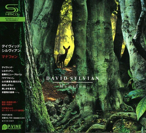 【直筆サイン限定 CD/DVD】デヴィッド・シルヴィアン　マナフォン デヴィッド・シルヴィアン『Manafon』 - tyunne's blog