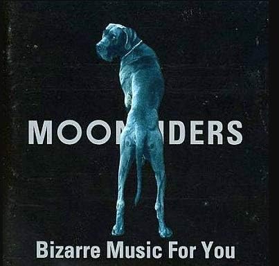邦楽 moonriders \
