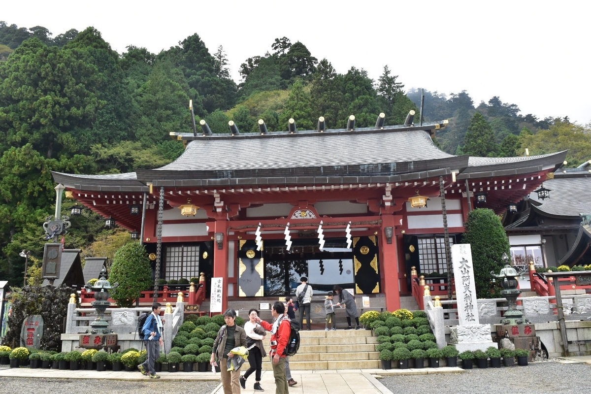 f:id:tyuta5656:20191104133852j:plain